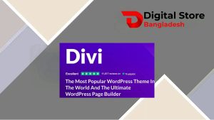 Divi WordPress Theme (Including All Templates)